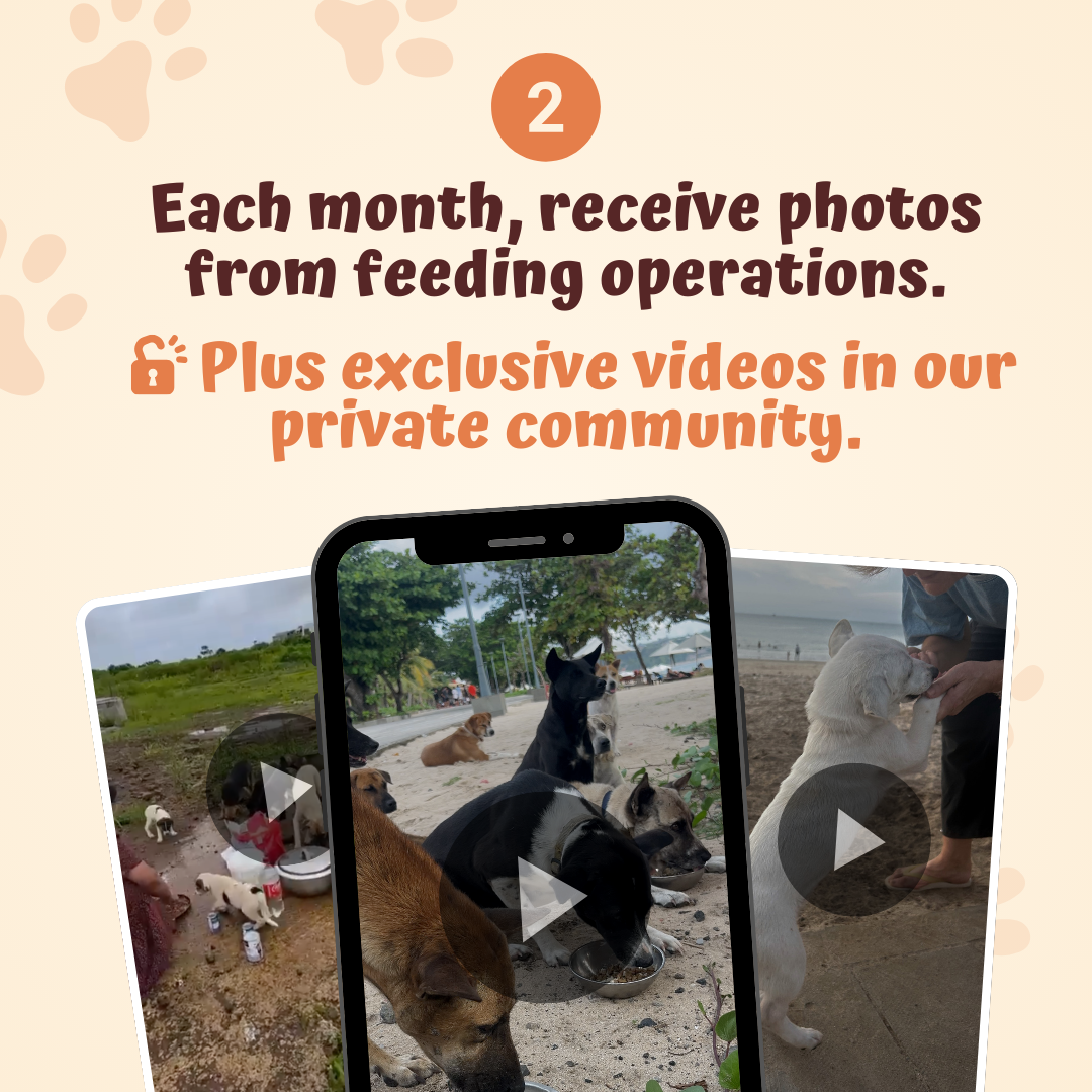 The Monthly Pets Club