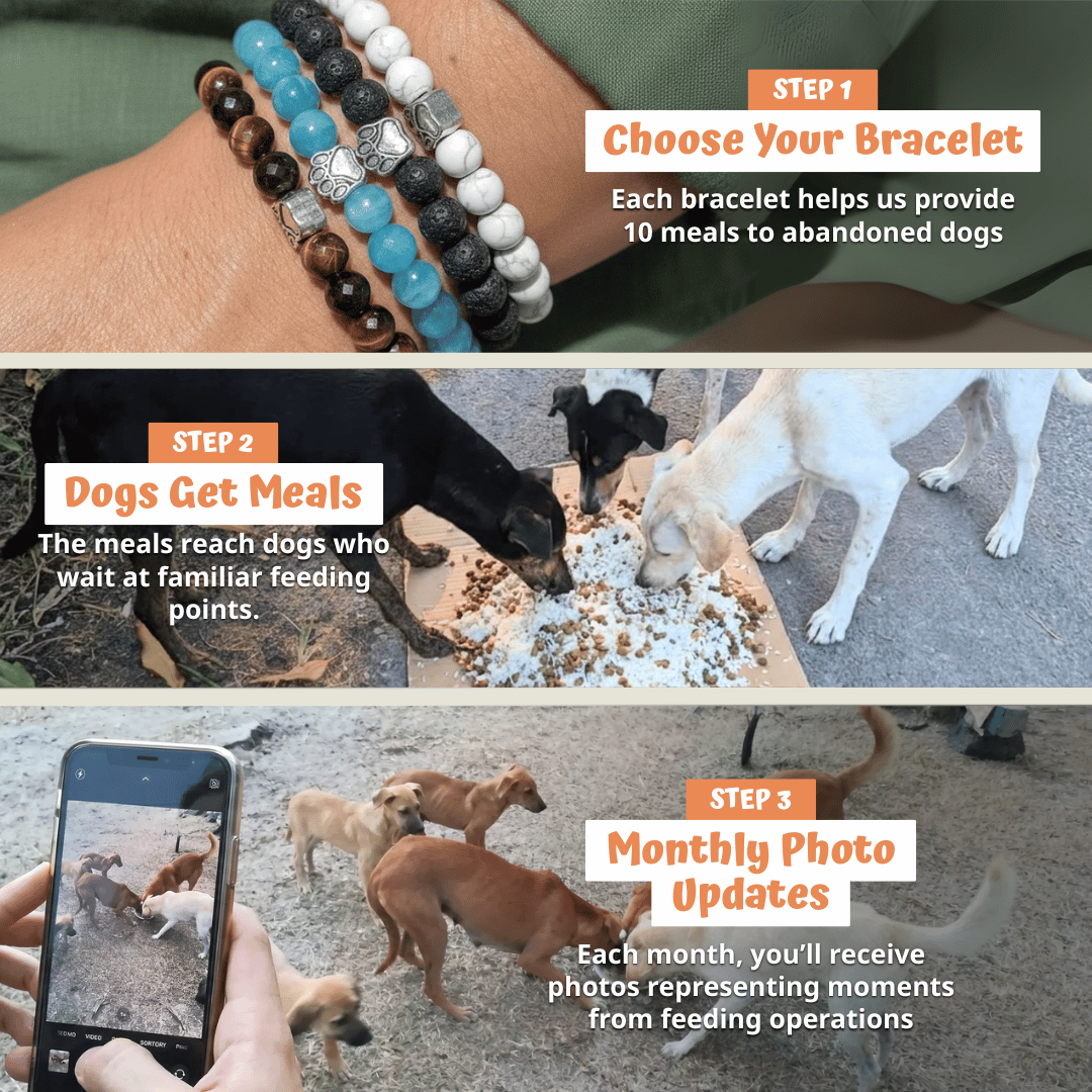 Love Bracelet